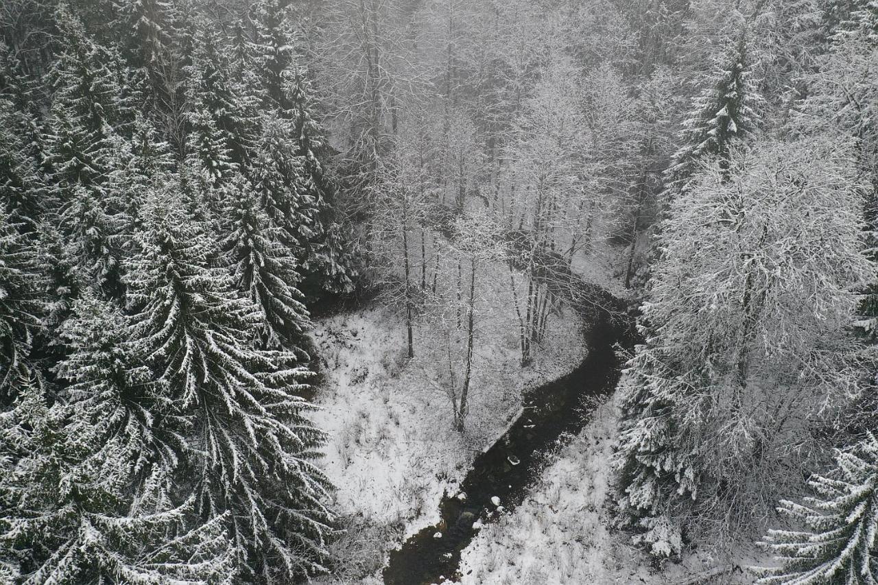 Wigierski Park Narodowy ซูวาว์กี ภายนอก รูปภาพ