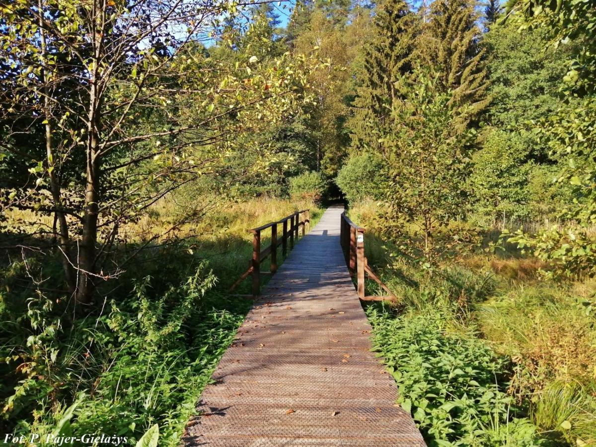 Wigierski Park Narodowy ซูวาว์กี ภายนอก รูปภาพ